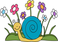 a spring snail